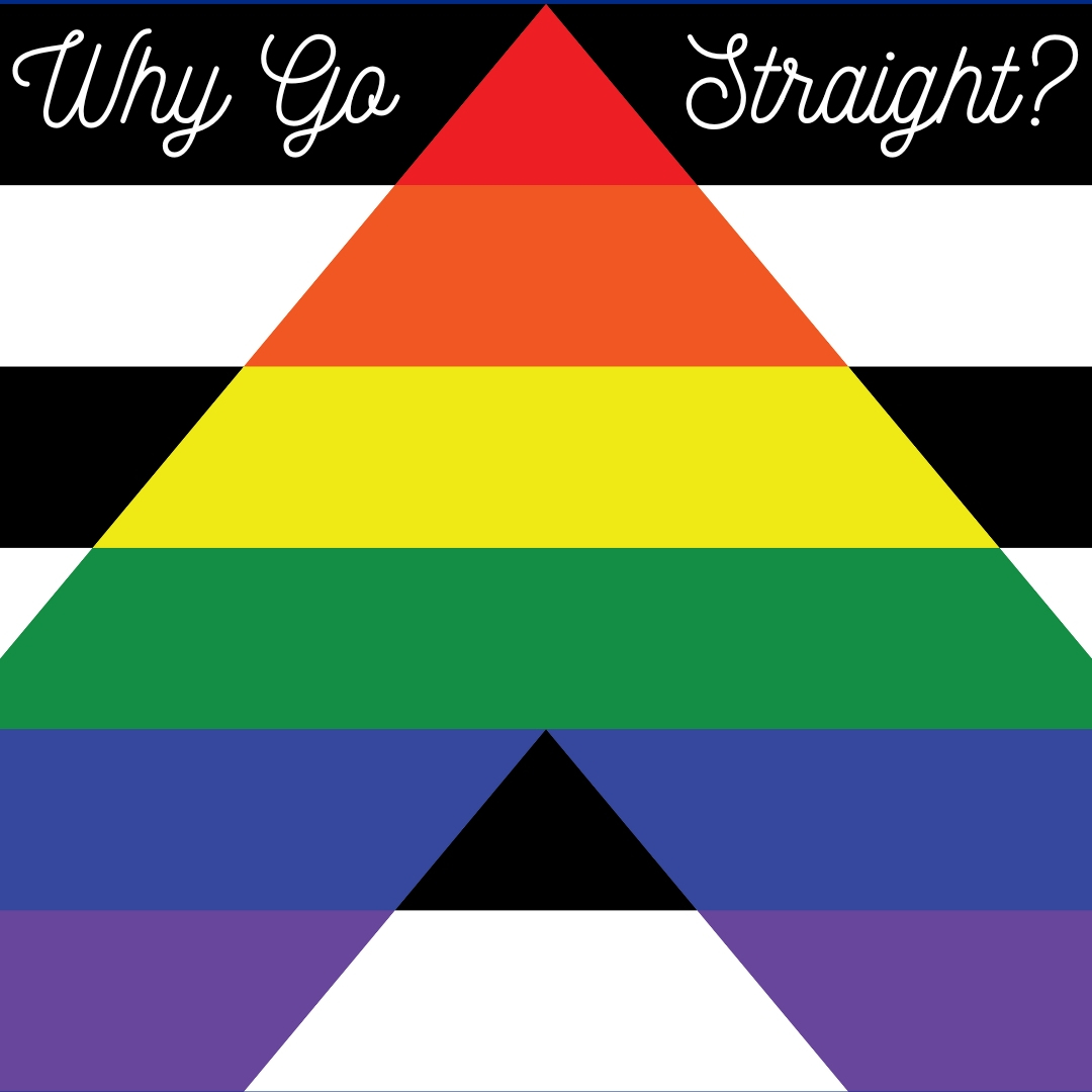 Ally pride flag with title Why Go Straight?